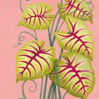 Illustration mit gelb-grünen Blättern und pinken Adern auf rosa Hintergrund. Grüne Ranken winden sich um die Stängel.