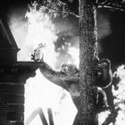 Eine große Kreatur greift von einem Baum aus nach einer kleinen Figur auf einem Dach. Im Hintergrund lodern Flammen.