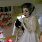 Ein Kranz aus Kürbissen, ein lachendes Kürbisgesicht, Frau in Kostüm hält eine Katze, bunte Fledermaus-Dekoration.