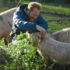 Ein Mann in blauer Jacke kniet auf einer Wiese, umgeben von Schweinen, und streichelt eines davon liebevoll.