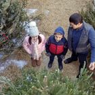 Keine Texte vorhanden. Drei Personen sind in einem Nadelbaumfeld, schauend nach oben. Winterliche Kleidung.