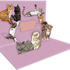 Die Illustration zeigt „DIE BESTEN WÜNSCHE!“ und verschiedene Katzen auf einer 3D-Pop-up-Karte mit lila Hintergrund.