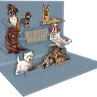 Text: "DIE BESTEN WÜNSCHE!" Illustration von neun Hunden auf einer dreidimensionalen blauen Fläche.