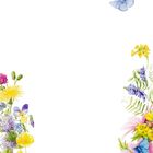 Unten rechts "MB". Farbenfrohe Blumenillustration mit bunten Blumen und einem blauen Schmetterling oben rechts.