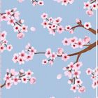 Keine Texte. Illustration: Rosa Kirschblüten auf braunen Ästen vor hellblauem Hintergrund.
