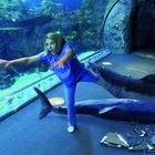 Ein Aquarium mit einer Frau in blauer Kleidung, umgeben von realistischen Haien, verziert mit Fischillustrationen.