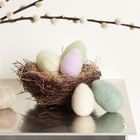 Ein Nest mit pastellfarbenen Eiern. Links eine weiße Vase mit flauschigen Zweigen. Eierschalen in Rosa, Grün und Naturtönen.