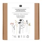 Text: "Rico Design, Stick and Stitch Packung, Blumen und Gräser XL". 
Illustration: Verschiedene Blumen und Gräser in mehreren Farben.