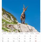 Ein Kalenderblatt für April 2027 mit einem Steinbock auf einem Felsen vor klarem blauen Himmel.