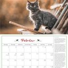 „Februar“ steht groß geschrieben. Darunter ein Kalenderblatt für Februar und ein Text über „Das Gericht“. Oben ist eine schwarze Katze.