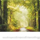 Kalenderblatt für April, darunter Baumallee mit Sonnenstrahlen, die durch das Blätterdach fallen.