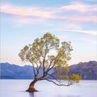 Text: Dumont, 3, Monate und Zahlen als Monatskalender. Einzelner Baum im See, Berge im Hintergrund, rosa-blauer Himmel.