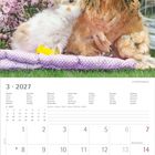 Kalender für März 2027. Ein Hase und ein Huhn sitzen eng beieinander auf einer lila Decke im Garten.