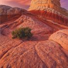 Ein grandioses Farbspektakel leuchtet im White Pocket, Arizona. Kalender für März. GEO-Logo unten links.