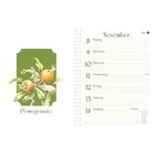 November-Wochenkalender mit den Tagen 8 bis 14. Links Illustration von Granatäpfeln auf grünem Hintergrund.