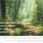 "Jeder Sonnenstrahl erinnert daran, wie hell das Leben leuchten kann." Pfad im lichten, grünen Wald, Sonnenstrahlen leuchten.