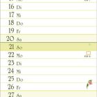 Kalender für Februar mit floralen Illustrationen von Kirschblüten. Enthält Feiertage wie Valentinstag und Aschermittwoch.