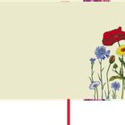 Keine sichtbaren Texte. Illustration von Blumen (Mohn, Kornblumen, Gänseblümchen) rechts unten.