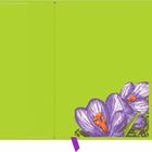 Keine Texte sichtbar. Grüne Fläche mit violetten Krokusblüten unten rechts.