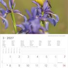 Kalender März 2027, Wochen markiert, links Notizbereich. Foto: Gelber Vogel auf violetten Blumen.