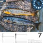 Kalenderseite mit einem Bild von zwei Fischen und einer Angel auf einem Felsen. Text erklärt Bachforellen.