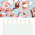 Kalenderblatt April; Tage auf Englisch, Französisch, Spanisch, etc.; Illustration: Kirschblütenzweige auf hellblauem Hintergrund.