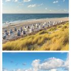 Kalender-Illustration für August 2021: Sonnenlicht durch Bäume, Strand mit Strandkörben, Steine vor dem Meer.