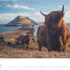 „Hochlandrinder auf Koltur, Färöer-Inseln, Dänemark“. Zwei braune Rinder vor einer Küstenlandschaft mit Bergen.