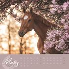 Text: „März“ und Kalendertage. Ein braunes Pferd steht vor rosa blühenden Zweigen in sanftem Licht.