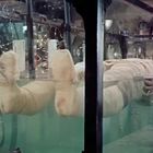 Ein mit Bandagen umwickelter Körper schwebt horizontal in einem Wassertank in einem Labor.