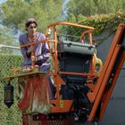 Warnsymbol mit einer Hebebühne. Eine Person in lila Kleidung steht auf einer orangefarbenen Hebebühne, umgeben von Bäumen.