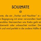 Text: "SOULMATE. Es gibt Momente, die ein 'Vorher und Nachher' in deinem Leben markieren." Oranges Design mit Krebs-Symbol.