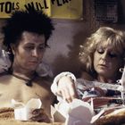 Text: "SEX PISTOLS WILL PLAY". Zwei Personen im Bett, essen aus Takeaway-Boxen, lässig gekleidet. Wandposter im Hintergrund.