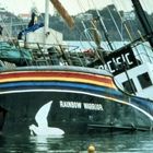 "RAINBOW WARRIOR" steht auf einem Schiff mit Regenbogenstreifen, eine weiße Taube darunter. Es liegt im Wasser, leicht geneigt.