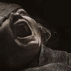 Ich kann den Text nicht lesen. Zu sehen ist ein schreiendes Gesicht in Nahaufnahme, umgeben von dunklen, ledrigen Texturen.