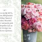 Text: "I cut to my HEART'S content, filling buckets with Rosa 'Queen of Sweden', 'Boscobel', 'Grace' and peachy pink 'A Shropshire Lad', an ABUNDANCE few might ever experience." Daneben ein Strauß rosa und pfirsichfarbener Rosen in einem Metalleimer.