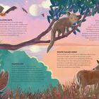„Great Bulldog Bats“, „Aye-Ayes“, „Pangolins“, „White-Tailed Deer“. Eine Illustration zeigt Tiere in einer tropischen Landschaft bei Sonnenuntergang.