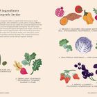 1. Extra virgin olive oil – Polyphenol powerhouse.   
2. Green leafy vegetables – Polyphenols, vitamins, minerals & fibre.  
Illustration von Olivenöl und Gemüse.