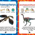 Links: "Archaeopteryx", Spätes Jura, Fleischfresser, 0,5 m, Deutschland. Rechts: "Archaeornithomimus", Späte Kreide, Allesfresser, 3,5 m, China.