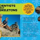 „How do scientists know how to put dinosaur skeletons together?“ Daneben Bilder von Menschen, die Fossilien ausgraben.