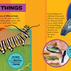 "All Living Things" mit Text über Lebewesen, darunter Monarch-Raupe, Buckelwal, Käfer und Maus. Fachbegriffe: Biologie, Biologe.