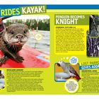 „OTTER RIDES KAYAK!“  
„PENGUIN BECOMES KNIGHT“ in Edinburgh.  
„LOST PARROT GIVES ADDRESS“ in Nagareyama.  
Otter auf einem roten Kajak mit Paddel.