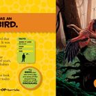 ARCAEOPTERYX WAS AN EARLY BIRD. Archaeopteryx, first bird, link between dinosaurs and birds. Illustration: Archaeopteryx im Wald.