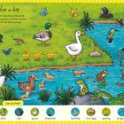 "Time for a dip. Mummy goose is heading to the pond." Illustration: Tiere am Teich, darunter Enten, Frösche, Libelle.