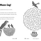 Text: "A-Maze-ing! Help the swallow find its way to its chicks." Illustration: Schwalbe fliegt zum Nest durch ein Labyrinth.