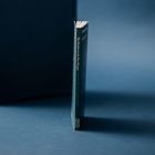 Buch mit Titel: „The Murders in the Rue Morgue“ von Edgar Allan Poe. Dunkler Einband mit filigranen Linienzeichnungen.