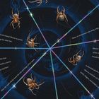 Eine Illustration mit Texten über eine Spinne, die ein Netz spinnt. Mehrere Spinnen und bunte Fäden sind sichtbar.