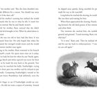 Seitenzahlen 34 und 35.  
Illustration: Zwei Eichhörnchen, eins grau, eins schwarz-weiß, interagieren lebhaft auf einer Wiese.