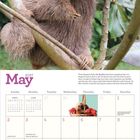 Der Text "May 2027" steht groß. Ein Kalender für Mai, darüber ein Faultier auf einem Baum.
