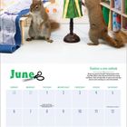 "Fashion a new outlook" steht oben rechts. Im Juni-Kalender ist Montag der 31. Mai. Zwei Eichhörnchen im Schneideratelier.